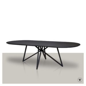 Harmony-plat-ovale-eettafel-met-metalen-vlinder-onderstel-zwart